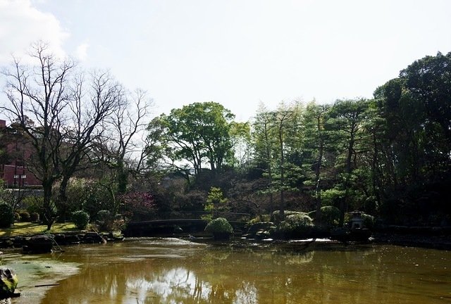 🏛️ 이시바시 문화센터 이미지 8